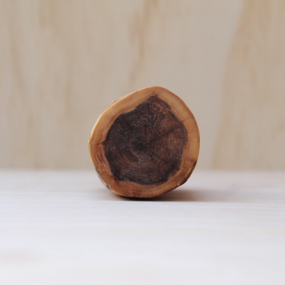 Colorado Cottonwood Shot Glass