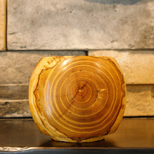 The Learning Curve White Mulberry whiskey cup with concentric end grain and dark spalting on the front face.