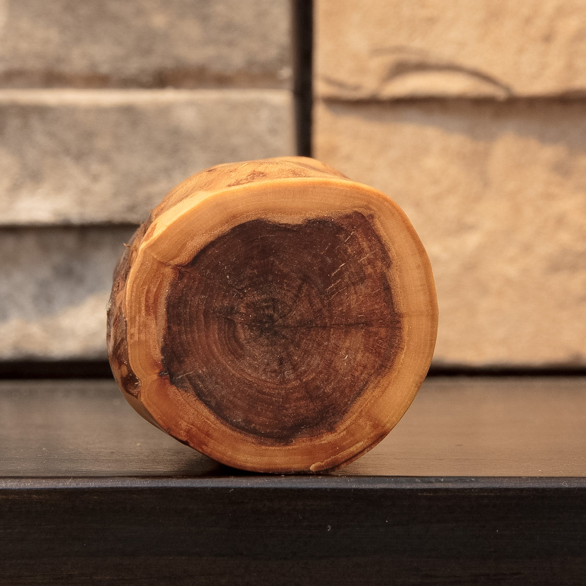 Rear view of The Wild Branch cottonwood shot glass showing natural cracks, dark streaking, and irregular branch contours.