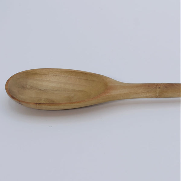 Wooden spoon on a white background
